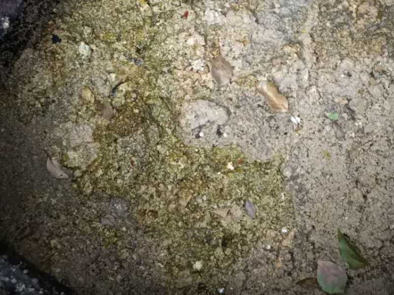 和平区马桶疏通24小时上门服务